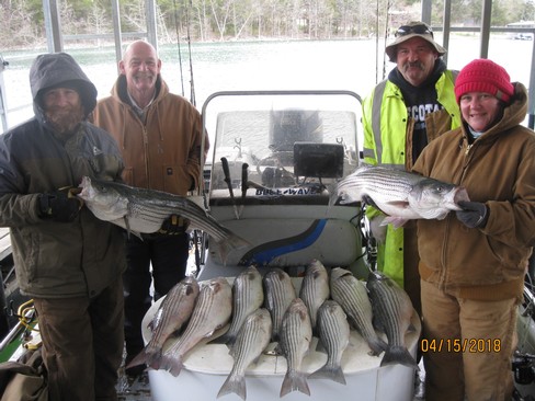 Nice Striped Bass